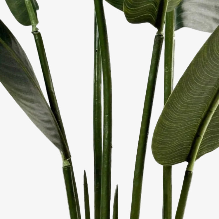 Planta artificial banana viajera H160 - Vintahome