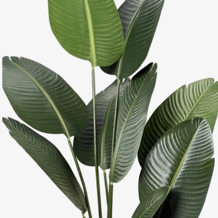 Planta artificial banana viajera H160 - Vintahome