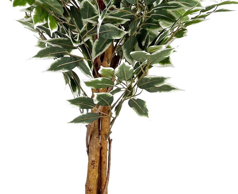 Planta artificial ficus variegata H180 - Vintahome