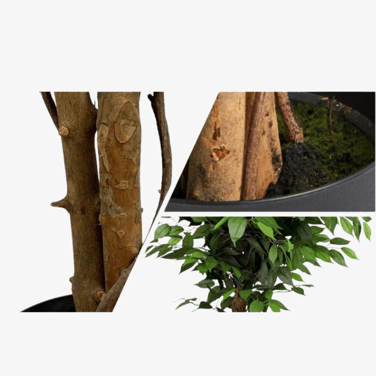 Planta artificial ficus verde H180 - Vintahome