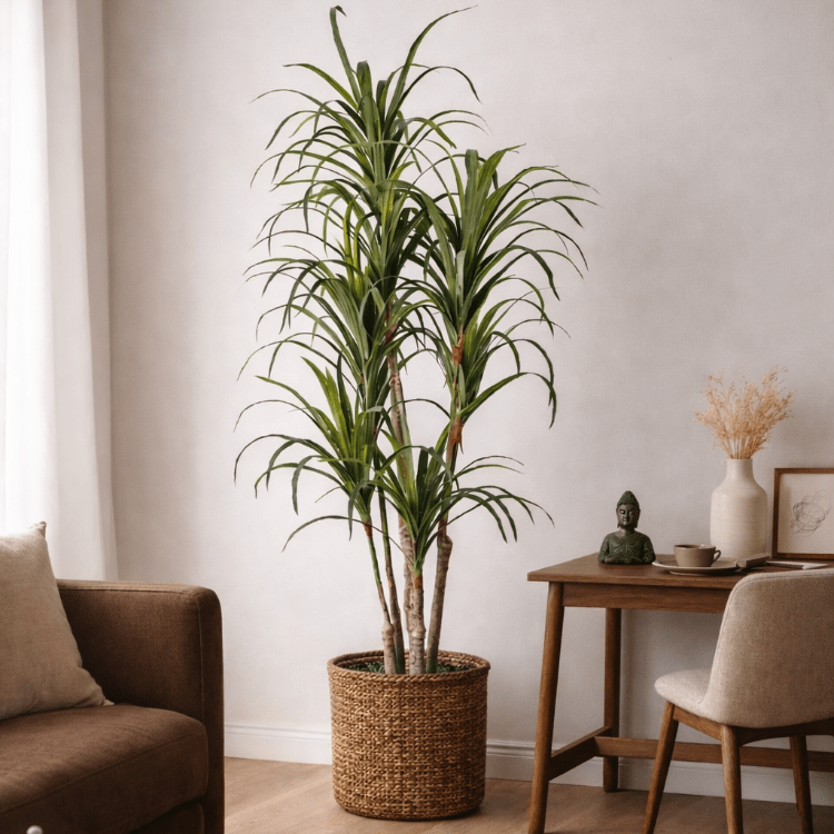 Planta artificial Yuca H180 - Vintahome