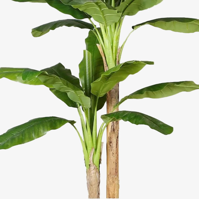 Planta de bananeira artificial H205