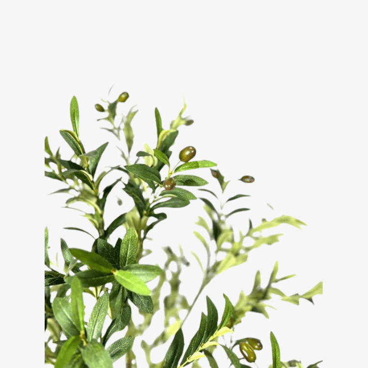 Planta Olivo artificial H180 - Vintahome