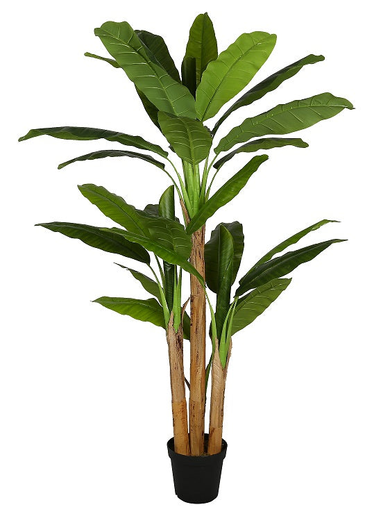 Planta Bananera artificial H190