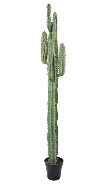 Gran Cactus Sanguaro Artificial H210