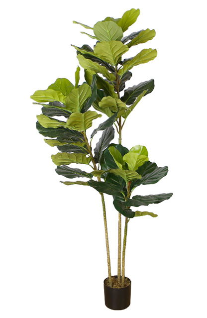 Planta Ficus Artificial