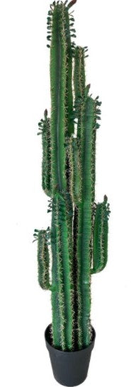 Cactus artificial H200