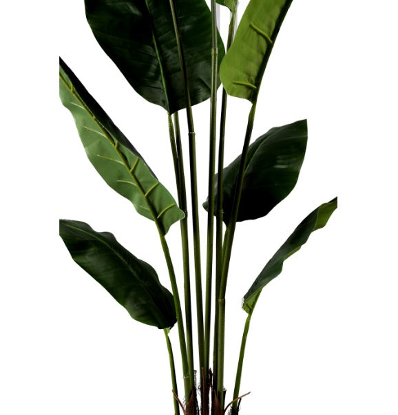 Planta Strelitzia ave del paraiso artificial H180