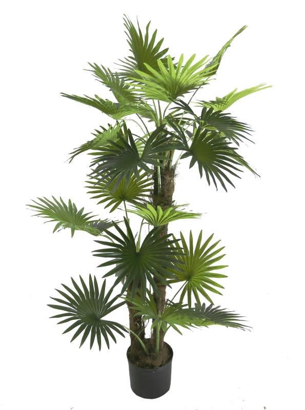 Palmera artificial Fan H150 - Vintahome
