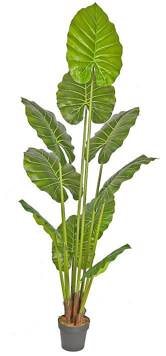 Planta artificial Alocasia H210 - Vintahome