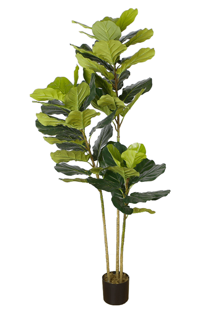 Planta Ficus artificial H175 - Vintahome