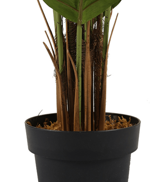 Plantas Artificiales termoplásticas